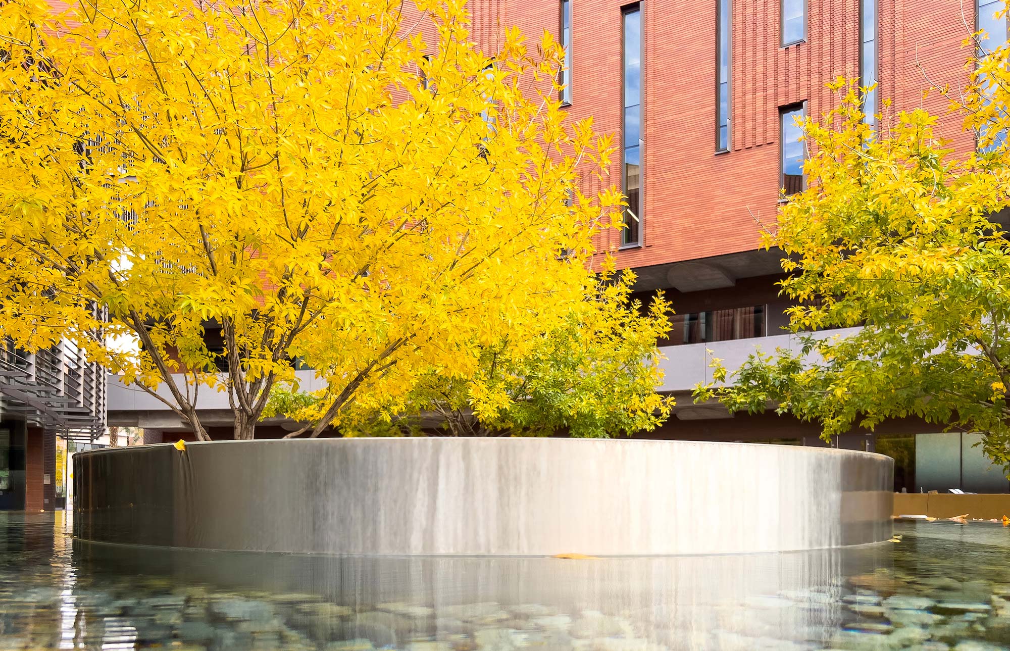 W. P. Carey Campus Fountain